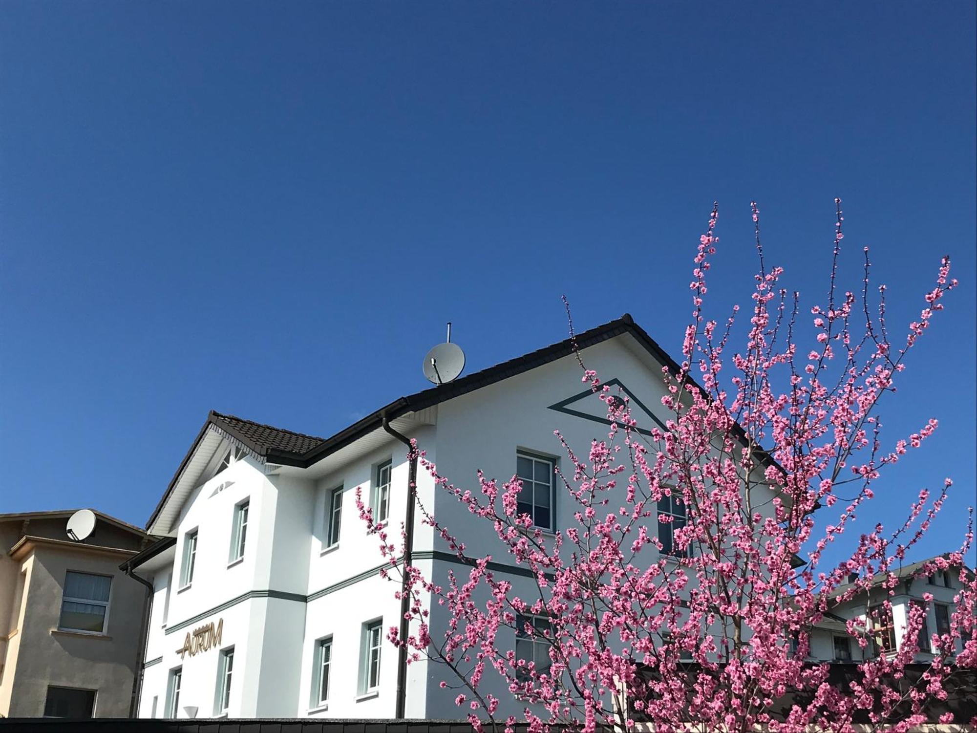 Apartmenthaus Aurum Херингсдорф Екстериор снимка